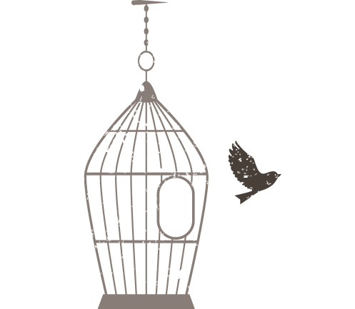 bird flying out of cage